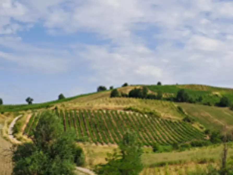 Immagine 1 di Terreno agricolo in vendita  in Lungo Strada Provinciale a Borgoratto Mormorolo