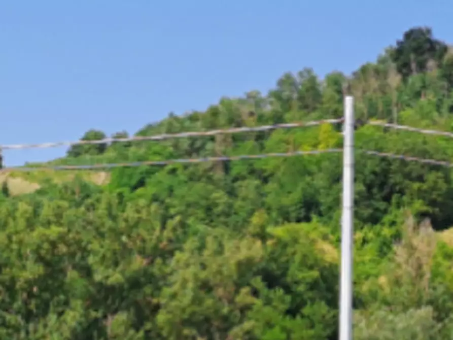 Immagine 1 di Terreno agricolo in vendita  in Presso strada provinciale a Borgoratto Mormorolo