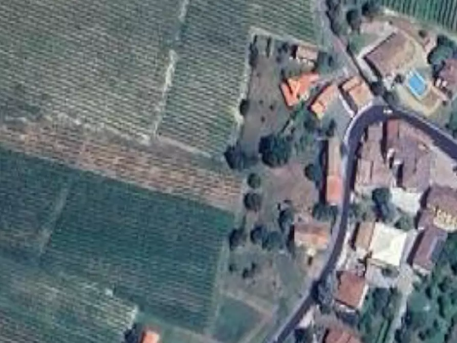 Immagine 5 di Terreno agricolo in vendita  in Presso strada provinciale a Borgoratto Mormorolo