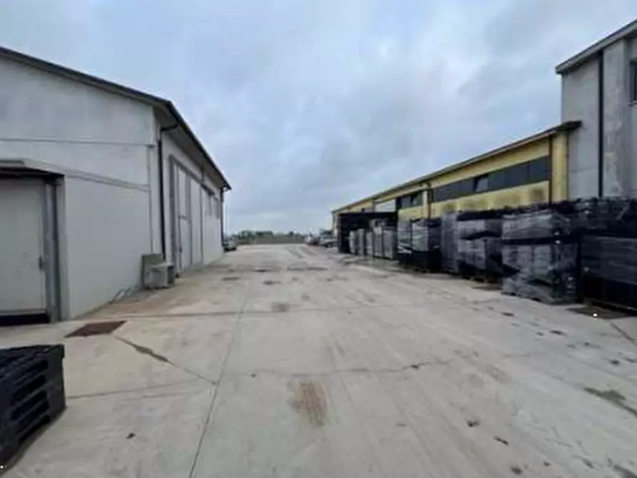 Immagine 4 di Capannone industriale in vendita  in Via Afra Decò a Villafranca Di Verona