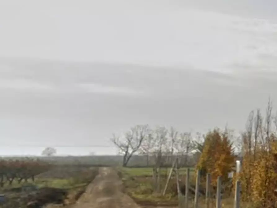 Immagine 7 di Capannone industriale in vendita  in Via Afra Decò a Villafranca Di Verona