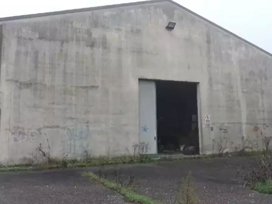 Immagine 1 di Terreno agricolo in vendita  in Via Toffanelle Nuove a Zevio