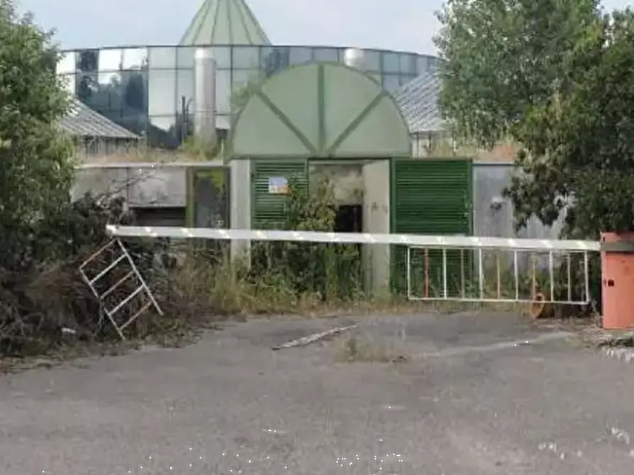 Immagine 3 di Terreno agricolo in vendita  in Via Toffanelle Nuove a Zevio