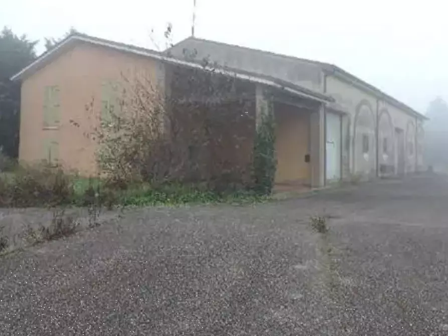 Immagine 4 di Terreno agricolo in vendita  in Via Toffanelle Nuove a Zevio