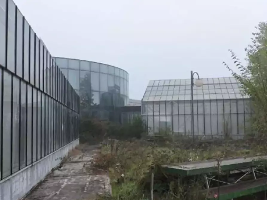 Immagine 5 di Terreno agricolo in vendita  in Via Toffanelle Nuove a Zevio