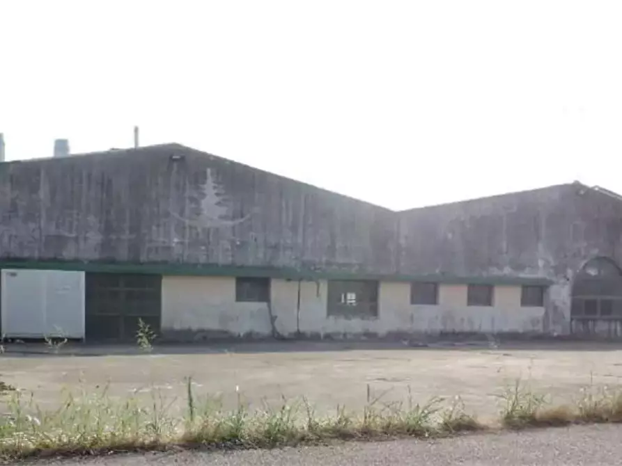 Immagine 7 di Terreno agricolo in vendita  in Via Toffanelle Nuove a Zevio