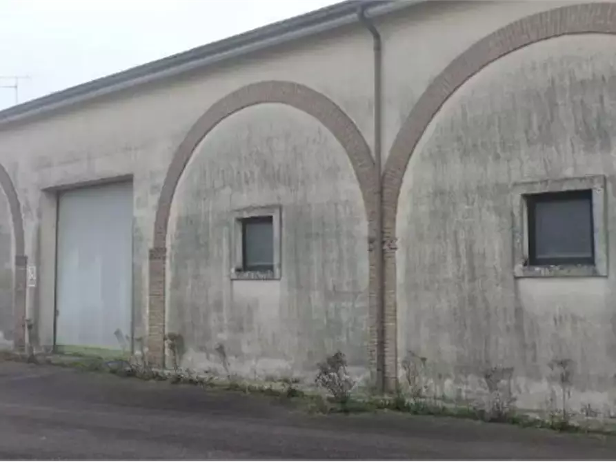 Immagine 8 di Terreno agricolo in vendita  in Via Toffanelle Nuove a Zevio