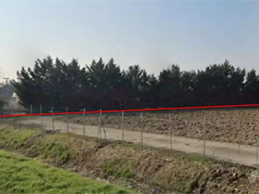 Immagine 9 di Terreno agricolo in vendita  in Via Toffanelle Nuove a Zevio