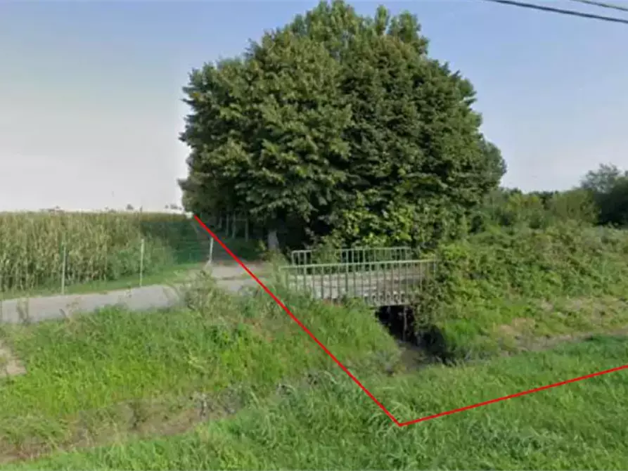 Immagine 11 di Terreno agricolo in vendita  in Via Toffanelle Nuove a Zevio