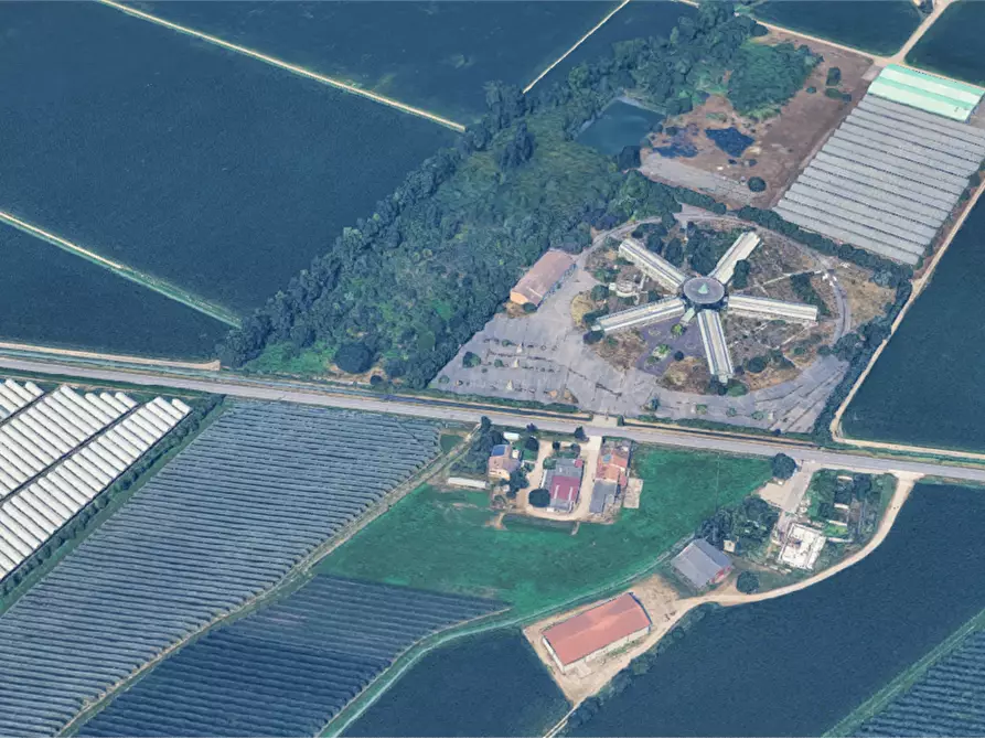 Immagine 15 di Terreno agricolo in vendita  in Via Toffanelle Nuove a Zevio