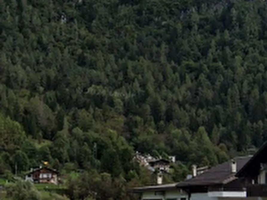 Immagine 34 di Casa indipendente in vendita  in Via Campagna a Taibon Agordino