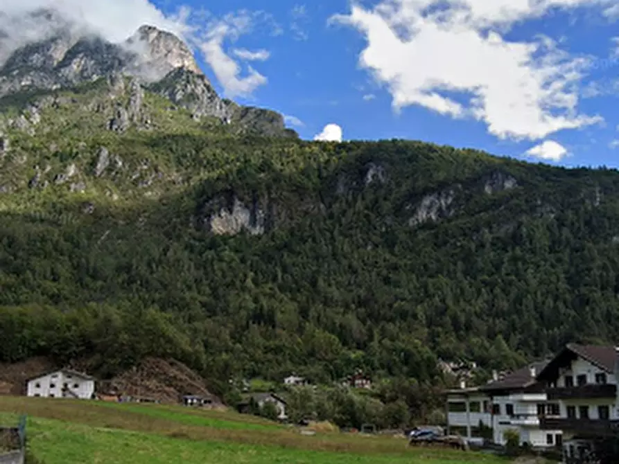 Immagine 36 di Casa indipendente in vendita  in Via Campagna a Taibon Agordino