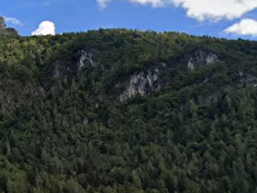 Immagine 37 di Casa indipendente in vendita  in Via Campagna a Taibon Agordino
