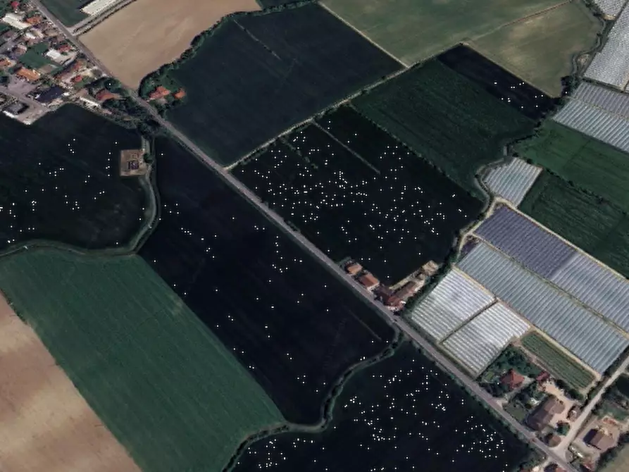 Immagine 25 di Appartamento in vendita  in Via Virgiliana a Trevenzuolo