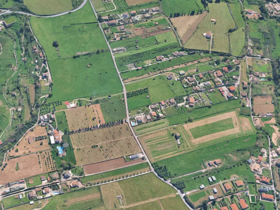 Immagine 4 di Terreno agricolo in vendita  in Via delle Selve Nuove a Ciampino