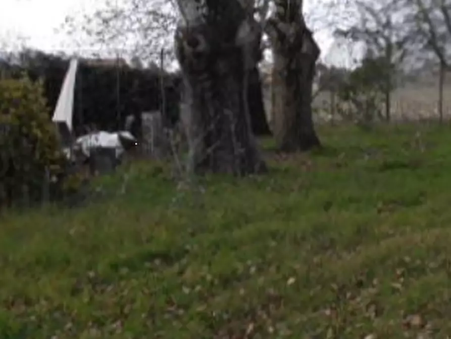 Immagine 21 di Villa in vendita  in Via brazzolo a Copparo