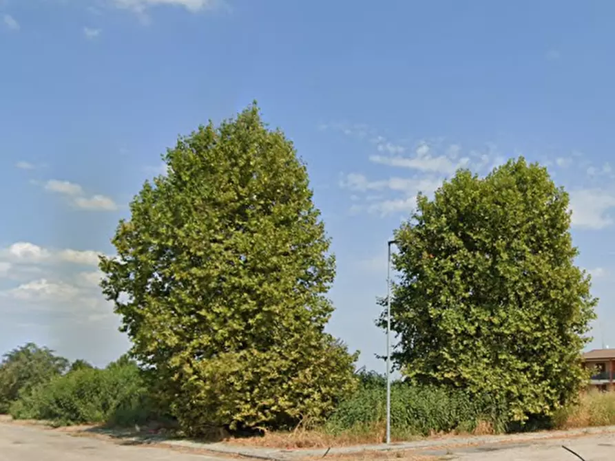 Immagine 10 di Terreno edificabile in vendita  in via Elettro Bertoni a Ceresara