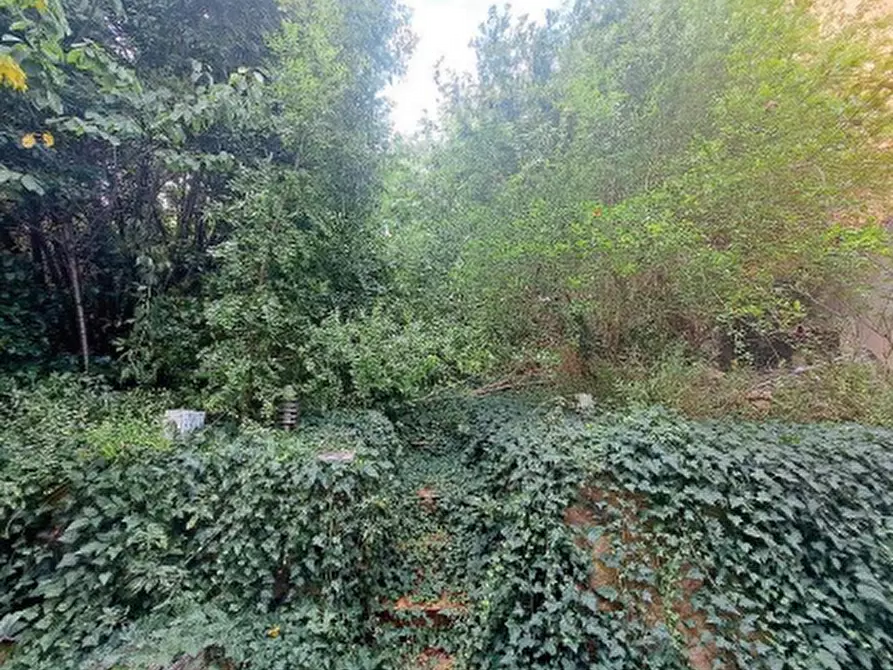 Immagine 5 di Appartamento in vendita  in Vicolo Cieco Coeli a Verona