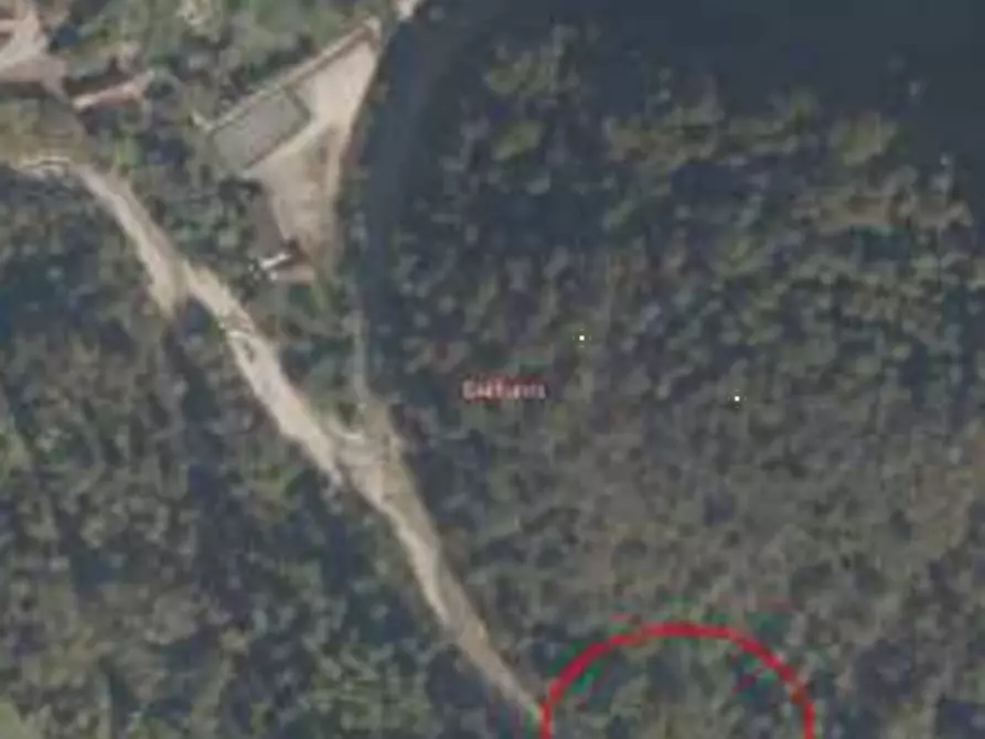 Immagine 6 di Terreno agricolo in vendita  in Via Pra dei Luni a Belluno