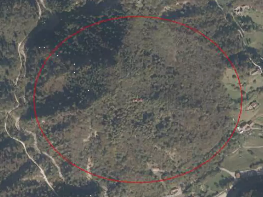 Immagine 8 di Terreno agricolo in vendita  in Via Pra dei Luni a Belluno