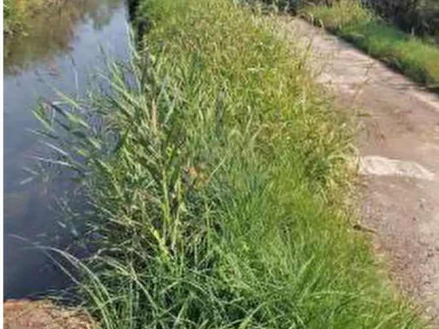 Immagine 2 di Terreno agricolo in vendita  in Localita' Cascina Trinchera a Ozzero