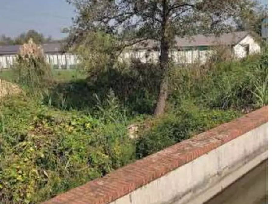 Immagine 3 di Terreno agricolo in vendita  in Localita' Cascina Trinchera a Ozzero