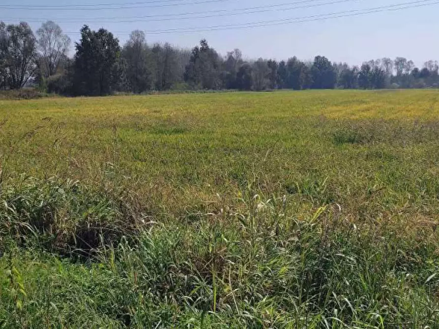 Immagine 6 di Terreno agricolo in vendita  in Localita' Cascina Trinchera a Ozzero