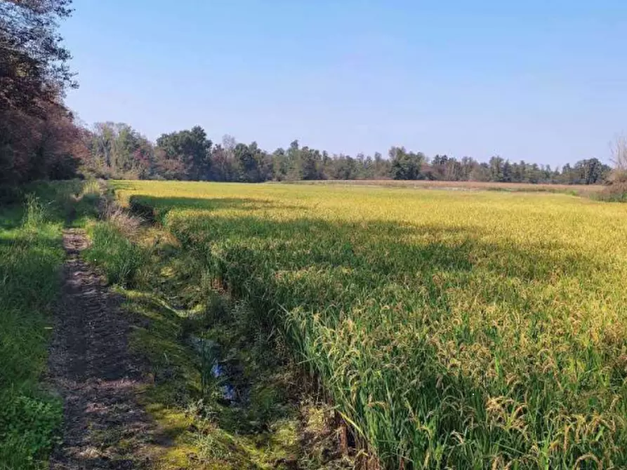 Immagine 8 di Terreno agricolo in vendita  in Localita' Cascina Trinchera a Ozzero