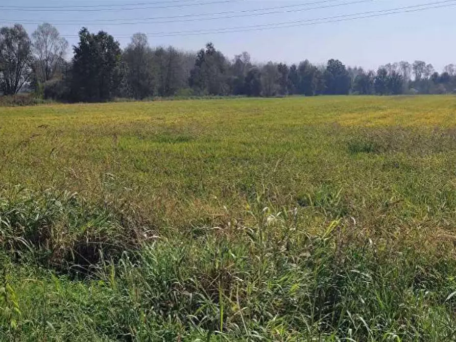 Immagine 1 di Terreno agricolo in vendita  in Localita' Cascina Trinchera a Ozzero