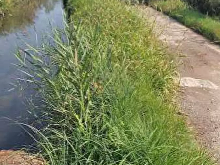 Immagine 2 di Terreno agricolo in vendita  in Localita' Cascina Trinchera a Ozzero