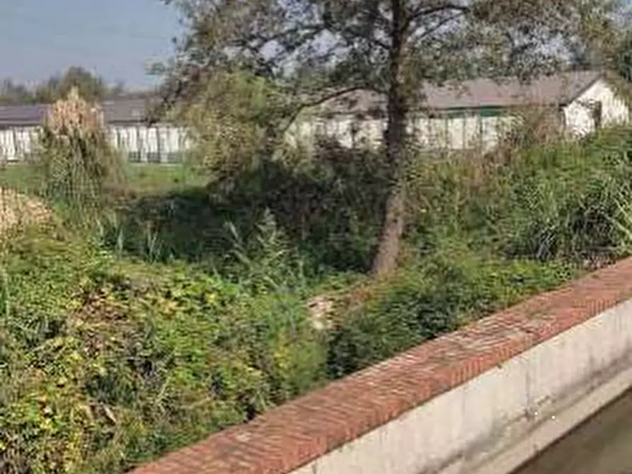 Immagine 3 di Terreno agricolo in vendita  in Localita' Cascina Trinchera a Ozzero