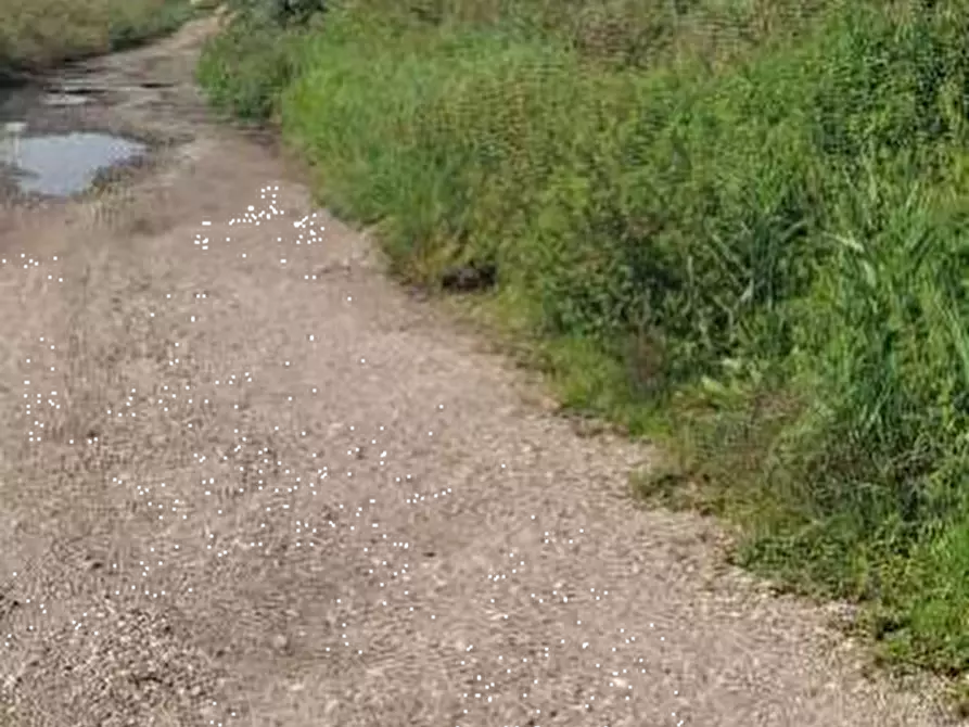 Immagine 5 di Terreno agricolo in vendita  in Localita' Cascina Trinchera a Ozzero