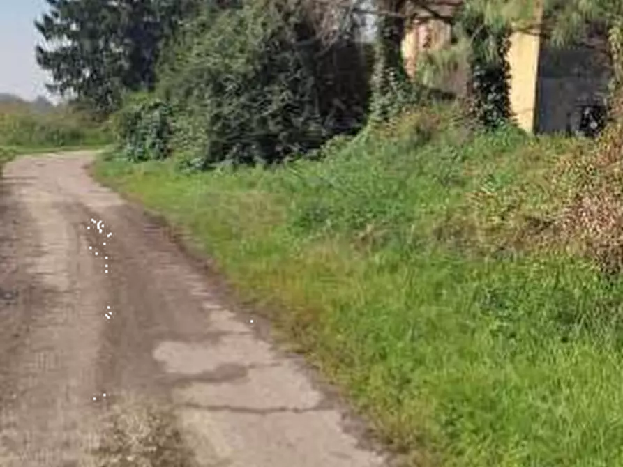 Immagine 6 di Terreno agricolo in vendita  in Localita' Cascina Trinchera a Ozzero