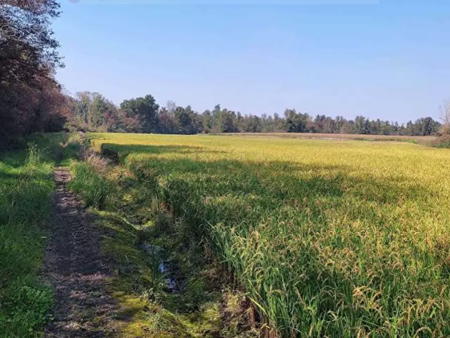 Immagine 9 di Terreno agricolo in vendita  in Localita' Cascina Trinchera a Ozzero