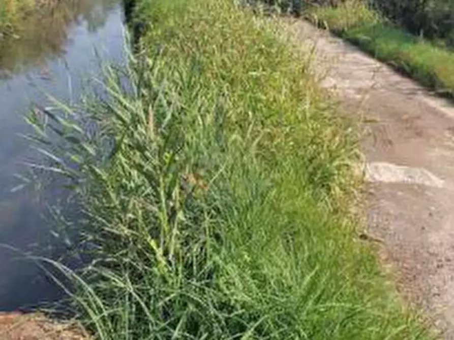 Immagine 3 di Terreno agricolo in vendita  in Localita' Cascina Trinchera a Ozzero
