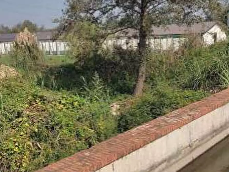 Immagine 4 di Terreno agricolo in vendita  in Localita' Cascina Trinchera a Ozzero