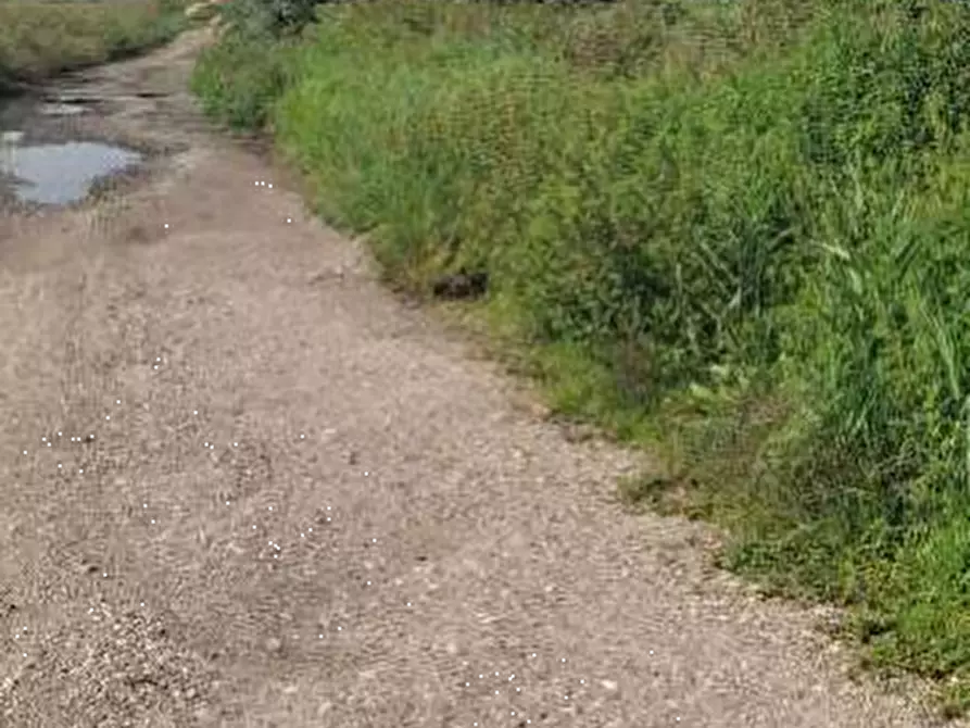 Immagine 6 di Terreno agricolo in vendita  in Localita' Cascina Trinchera a Ozzero