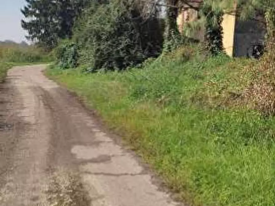 Immagine 7 di Terreno agricolo in vendita  in Localita' Cascina Trinchera a Ozzero