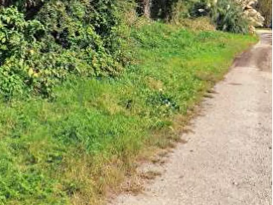 Immagine 8 di Terreno agricolo in vendita  in Localita' Cascina Trinchera a Ozzero