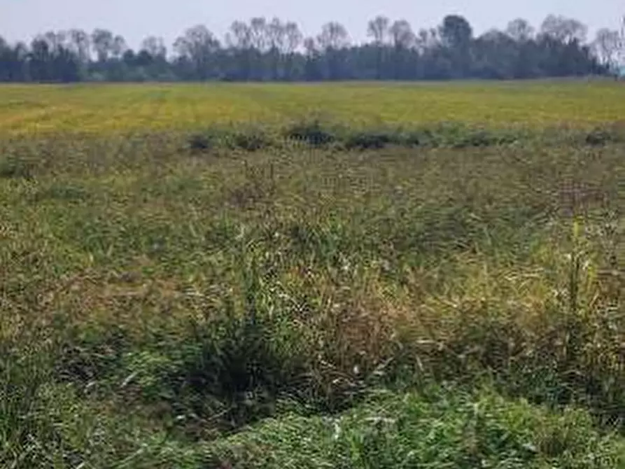 Immagine 9 di Terreno agricolo in vendita  in Localita' Cascina Trinchera a Ozzero