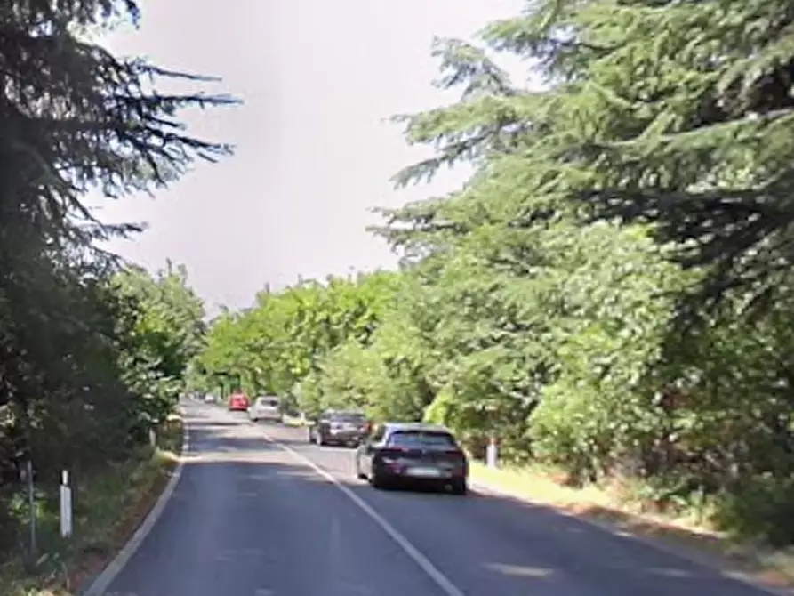 Immagine 5 di Villa in vendita  in Via Vignolese a Spilamberto