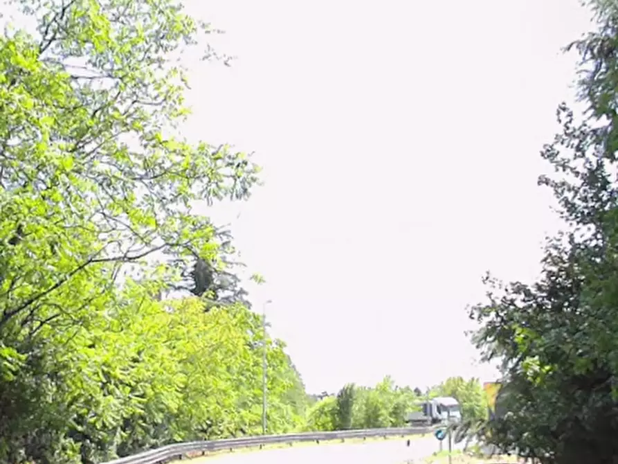 Immagine 6 di Villa in vendita  in Via Vignolese a Spilamberto