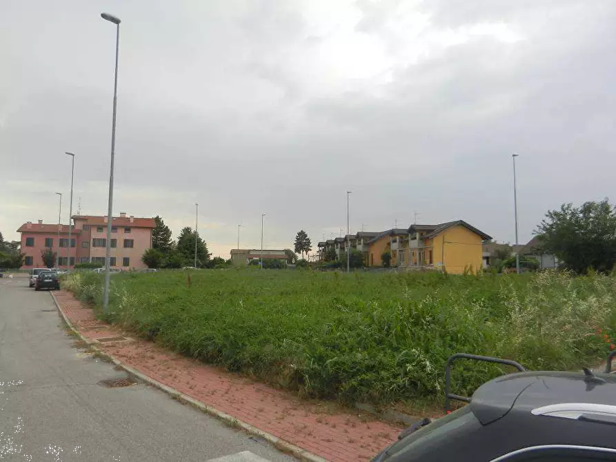 Immagine 2 di Terreno agricolo in vendita  in Località Villa Saviola a Motteggiana