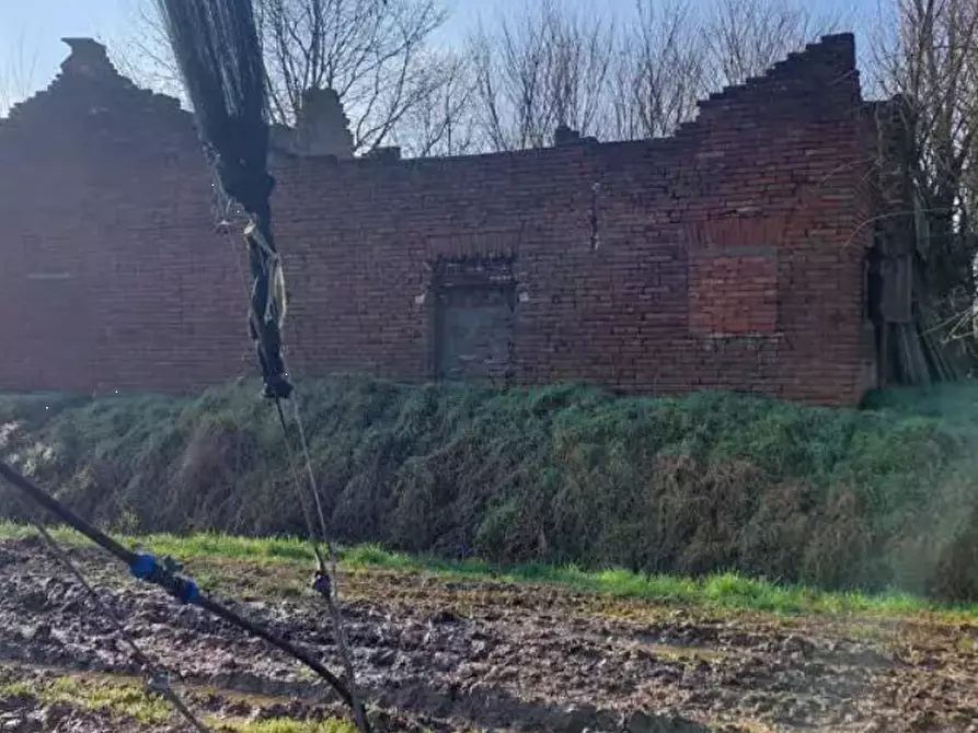 Immagine 4 di Rustico / casale in vendita  in Via G. Matteotti a San Possidonio