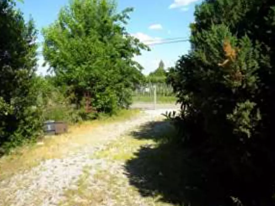 Immagine 3 di Porzione di casa in vendita  in Via Malaguzzi a San Martino In Rio