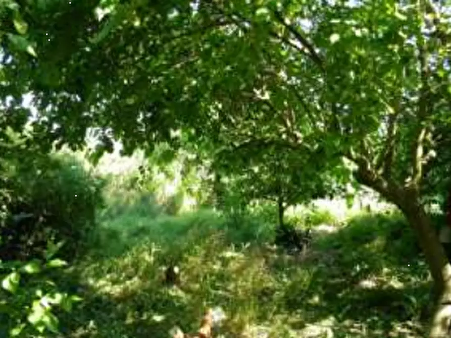 Immagine 4 di Porzione di casa in vendita  in Via Malaguzzi a San Martino In Rio