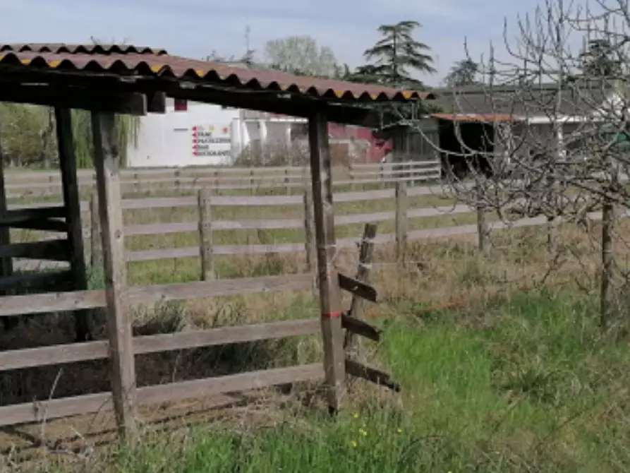 Immagine 5 di Terreno agricolo in vendita  in Via Po a Copparo