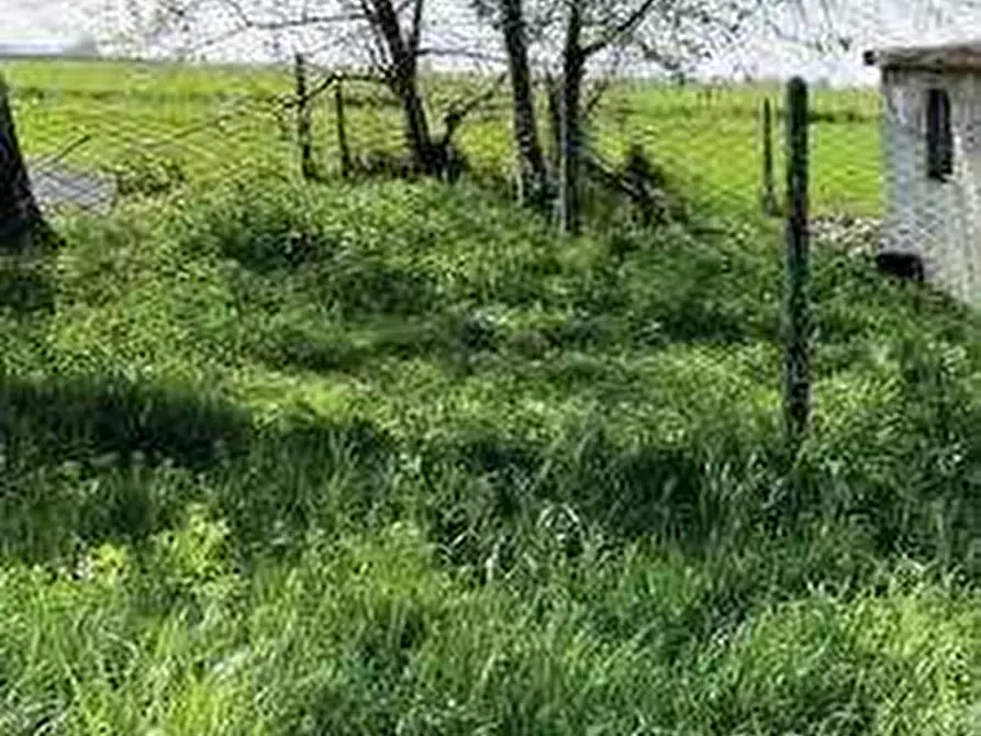 Immagine 7 di Casa indipendente in vendita  in Via del Po a Jolanda Di Savoia