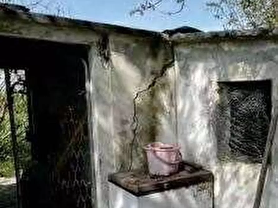 Immagine 9 di Casa indipendente in vendita  in Via del Po a Jolanda Di Savoia