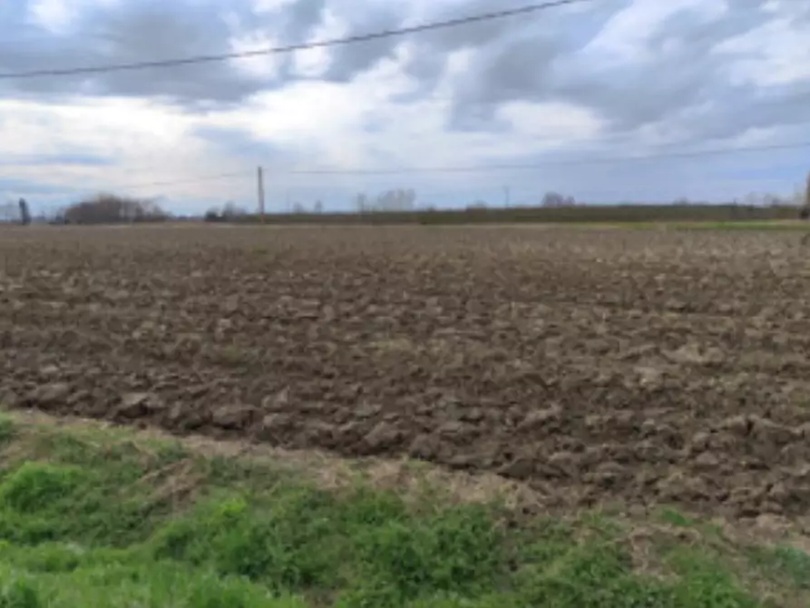 Immagine 6 di Terreno agricolo in vendita  in Via Nazionale a Canaro
